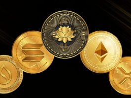 Top 5 Altcoins to Watch This Bull Market – BDTCOIN Makes the List Altcoin