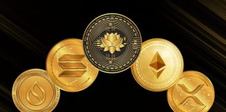 Top 5 Altcoins to Watch This Bull Market – BDTCOIN Makes the List Altcoin